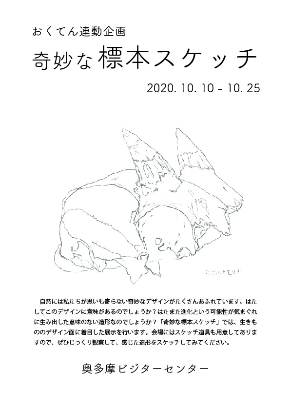 奇妙な標本スケッチ チラシ表