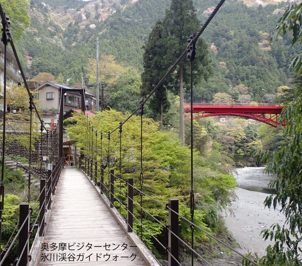 奥多摩ビジターセンター
氷川渓谷ガイドウォーク
氷川渓谷の写真