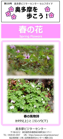 奥多摩を歩こう　春の花